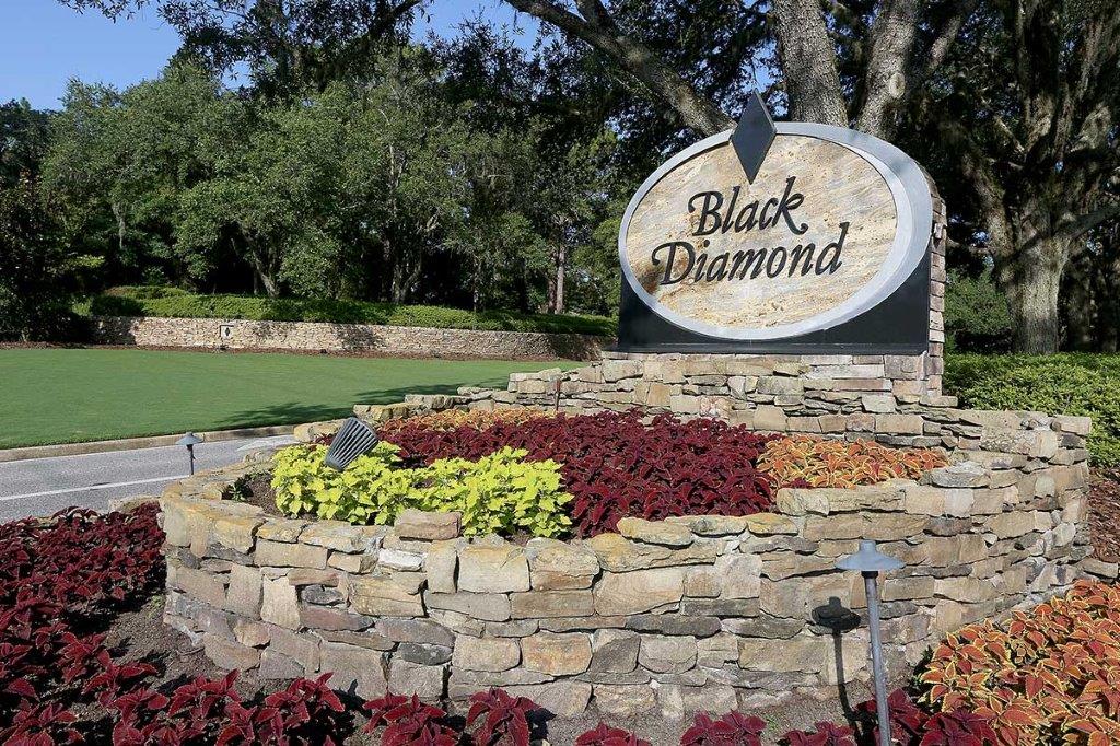Black Diamond Community